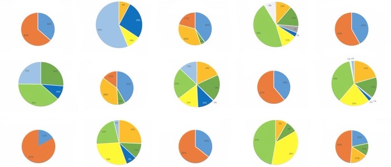 pie graphs