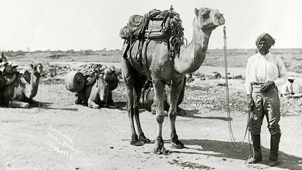 Muslim Cameleers of Australia